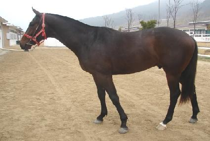 ���Ư�� ����