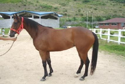 ����õ�� ����