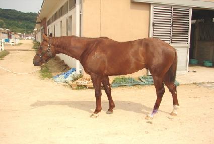 �뼱���� ����