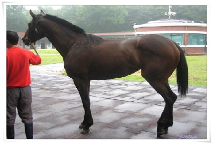 ����Ĺ ����