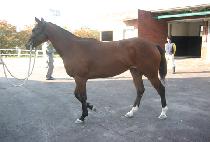 ������� (SEOUL MYEONGMUN) ����