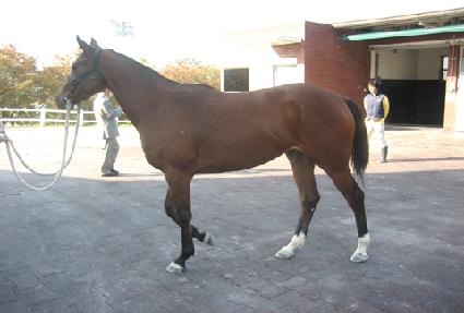 ������� ����