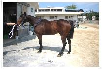 �ݰ�õ (GEUMGANGCHEON) ����