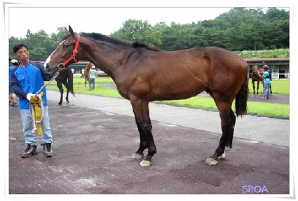 ŸŰ�� ����