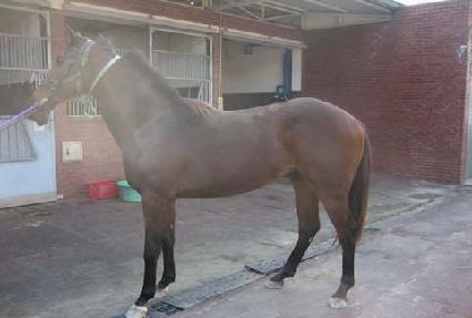 Ư�ޱ���� ����