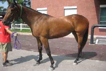 �����ѿ�� ����