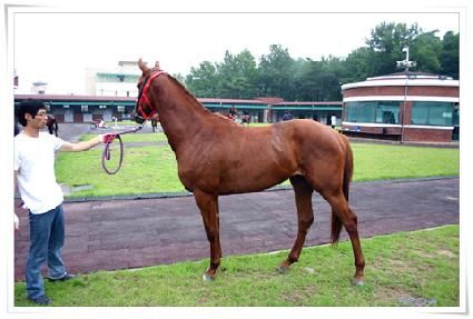 ���� ����