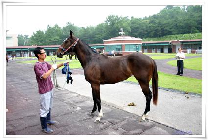 Ǫ���ĵ� ����