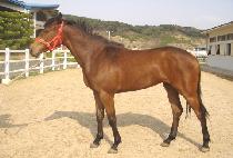 ��¸���Ŀ (USEUNG MAKER) ����