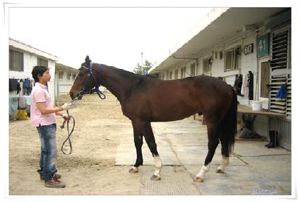 �ʿ����߾� ����