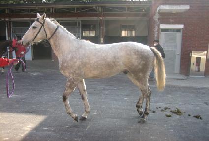 ������ü ����