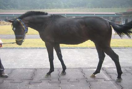 ��Ű�Ӵ� ����