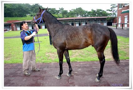 �����͹��� ����