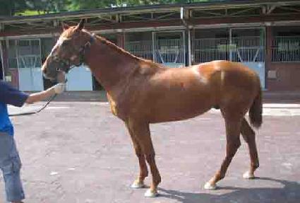 ���Ÿ�̰� ����