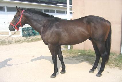 ������ ����