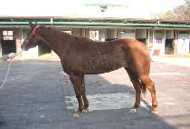 ������ (JISEONGMI) ����