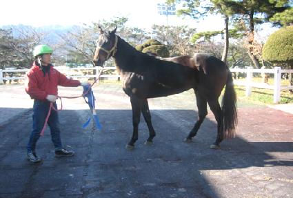 ���۹̻��� ����