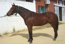 ���ױ׷� (INTEGRAL) ����