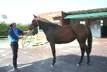 û������ (CHEONGJU CHUKJE) ����