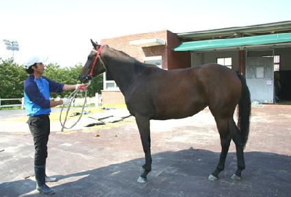 û������ ����