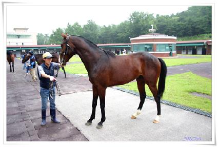 ��� ����