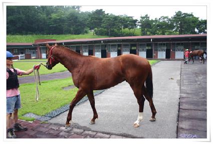 �������� ����