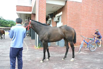 ������ ����