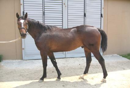 �������� ����