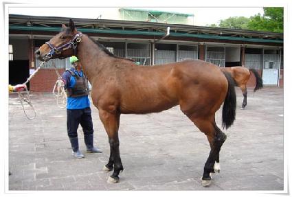 ���Ŀ�� ����