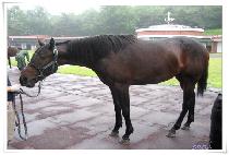 ������ (GANGGEONHAN) ����