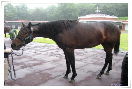 ������ ����