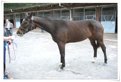 ���� ����