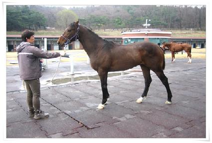 Ÿ���� ����