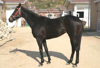 �޸��������� ����