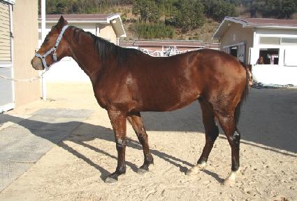 �ο��з��Ͼ� ����