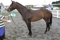 �ƺ��� (ABIGAIL) ����