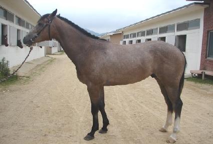 ����Ǯ���ǵ� ����