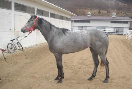 ȭ��Ʈ���� ����