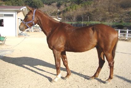 �ο������� ����