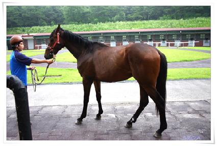 ����Ŭ���� ����