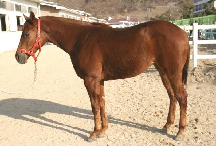 ���ؿ��� ����