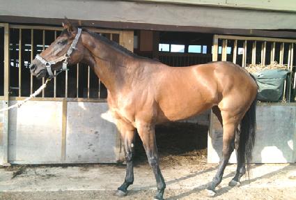 �̷�Ŭ�۷θ� ����