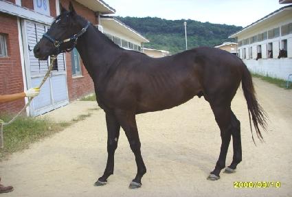 ���ϵ�۷θ� ����