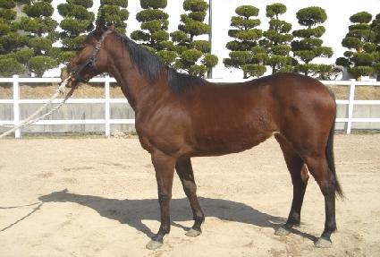 �ž� ����