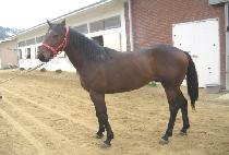 ¯¯ (JJANGJJANG) ����