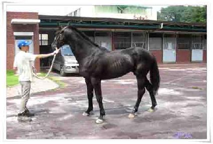 ���ĳ� ����