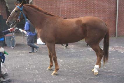 ���丮�� ����