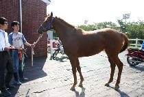 �츮���� (URI DONGHAE) ����