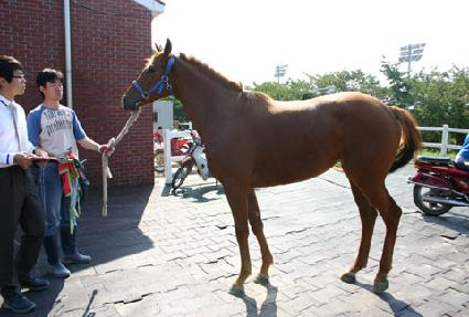 �츮���� ����