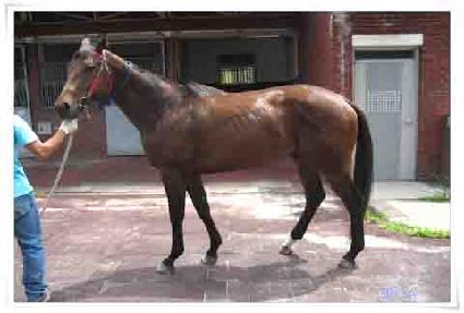 �������� ����